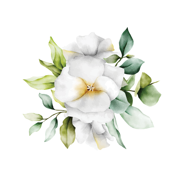 Ever olive 3